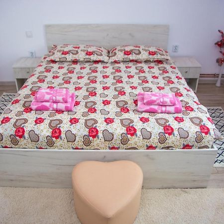 Călimăneşti Casa Stefania 1 아파트 외부 사진