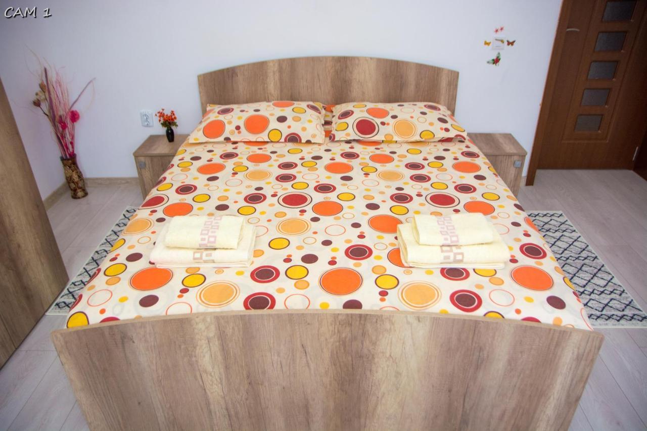 Călimăneşti Casa Stefania 1 아파트 외부 사진