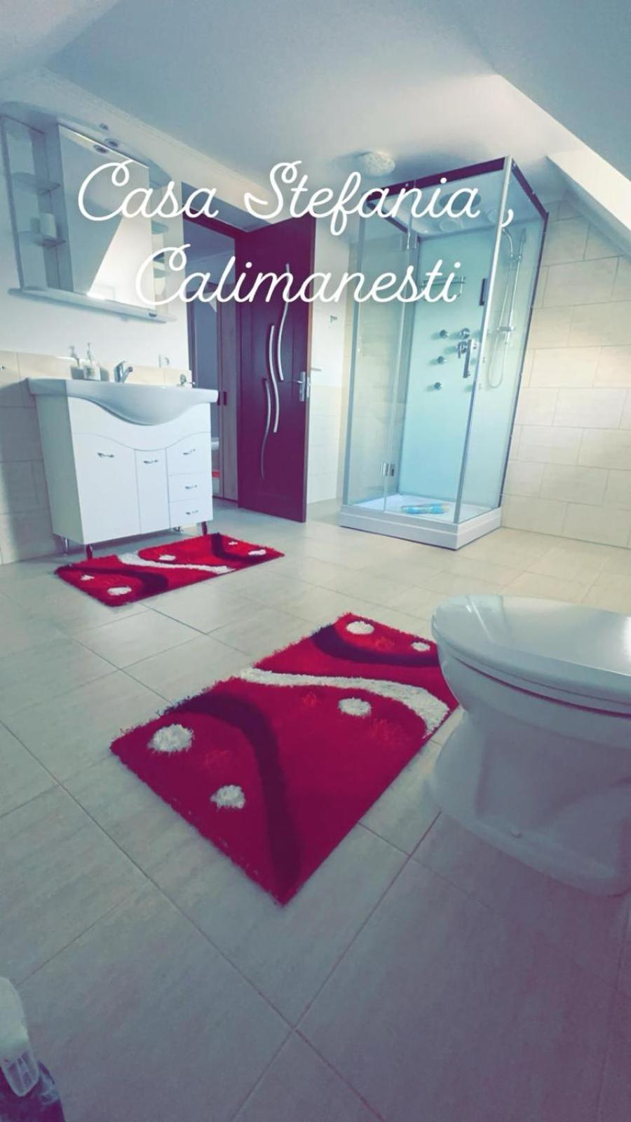 Călimăneşti Casa Stefania 1 아파트 외부 사진